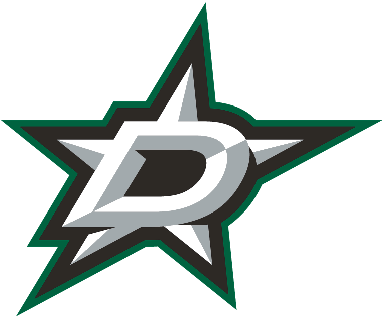 Dallas Stars 2013-Pres Primary Logo fabric transfer